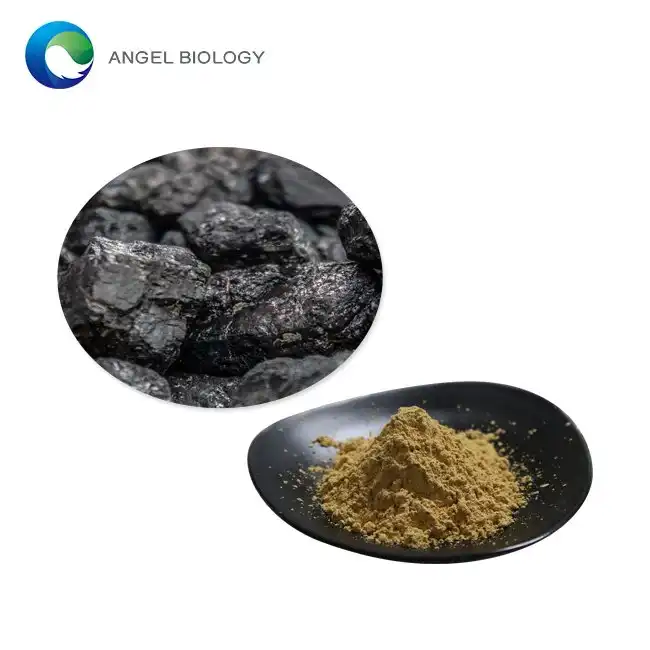 Shilajit Extract Powder vs. Resin: Which Is Better?